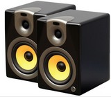 AM50 ENCEINTE AMPLIFIER 2*35W